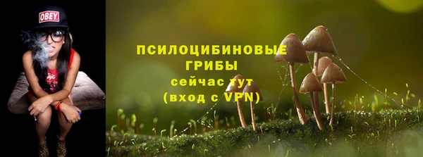 2c-b Новый Уренгой