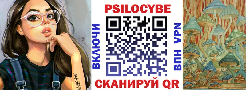дарк нет Telegram  blacksprut ТОР  Светлоград  где найти наркотики  Псилоцибиновые грибы MAGIC MUSHROOMS 