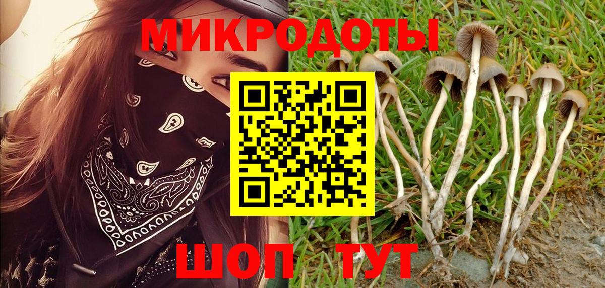 Галлюциногенные грибы Magic Shrooms  Галлюциногенные грибы GOLDEN TEACHER  Вход с VPN  Светлоград 